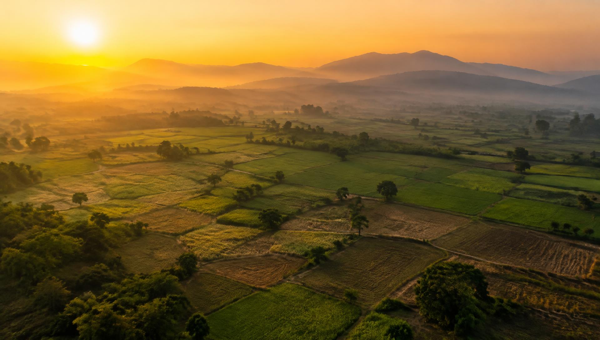Golden-hour aerial view of farmland